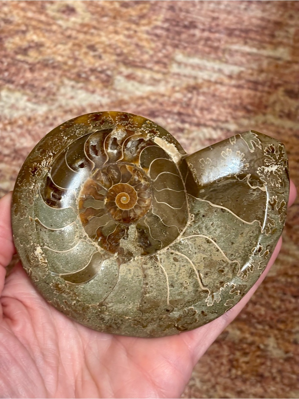 🐚 Polished Ammonite Fossil Trinket Dish 🐚